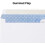 Gummed Double-Window Security-Tint Envelopes 500 per Box 2