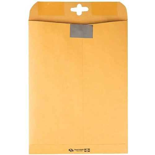 Clear Clasp Envelopes 9 x 12 Inch 100 per Box 1