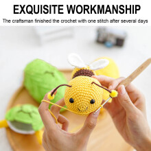 Turtle Bee Crochet Kit Beginner Set with Yarn and Hook