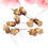 Artificial Acorns Decorative Set 10 pcs 2