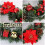 Manfitter pre-lit spruce wreath 16 inch with 15 LEDs 3