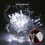 Outdoor Extendable String Lights 32.8FT 100 LED 5