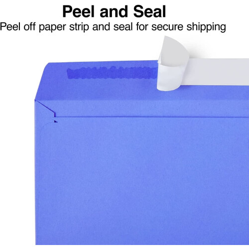 Easyclose Neon Envelopes #10 4.125 x 9.5 in 2 pcs 1