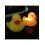 Rubber Duck LED Bath Light for Children 1 Piece 2