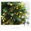 Star Tinsel Garland with Wire Gold 25ft 3PCS 4