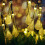 Solar String Lights Water Drop 30LED 21FT Warm White 7