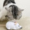 RC Rat Cat Toy Wireless Pet Toy 1 Piece 8