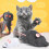RC Rat Cat Toy Wireless Pet Toy 1 Piece 6