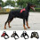 Dog Harness No-Pull Adjustable Reflective Breathable Oxford 3