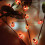 Ladybug String Lights 9.8ft 30 LED Battery Silver Wire Red 6