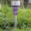 Solar LED Outdoor Spotlights Landscape Lighting 4 Pack 2