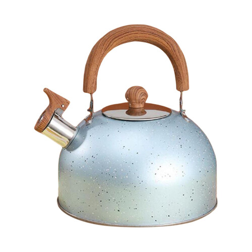 Stainless Steel Tea Kettle with Wood Handle 3L 1