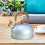 Stainless Steel Tea Kettle with Wood Handle 3L 3