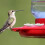 Hummingbird Feeder Replacement Flowers 10PCS 7