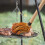 Grill basting mop with wooden handle and 4 replacement heads 4