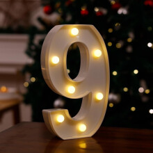 Christmas LED digital color lights