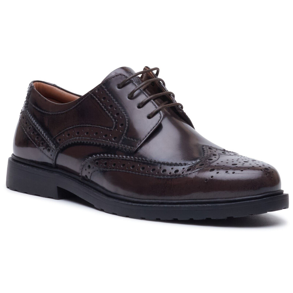 Hush Puppies (, ) Verity Hi-Shine Leather Women's Chocolate Brogues Shoes