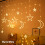 Star Moon Curtain Lights 138 LED 11.5 ft 3