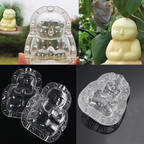 Buddha-shaped fruit mold for apple pear peach 1