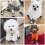 Dog Denim Anti-slip Booties 4 Pcs 7