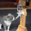 Dog Water Fountain Rack Solid Wood Hanging Frame 3