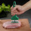 Stainless Steel Meat Tenderizer Green Plastic Handle 1pc 2