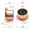 Copper Hook Commutator 23x8x17 mm 12 Teeth 4