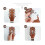 Guitar headstock decal sticker for personalization 6