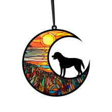 Glitter Acrylic Pet ID Tag Custom Engraved 1 pc