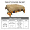 Halloween pumpkin tablecloth white square 7