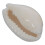 Shell Beads for Jewelry Making 50 pcs 4