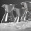 Glass coffee pot with filter and graduated scale 600ml 1