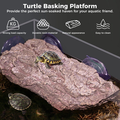 Turtle Basking Platform Resin with Suction Cups 2