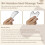 Facial Gua Sha Tool Stainless Steel 2PCS 5
