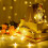 Snowflake Curtain String Lights 96LED 11.4FT 8 Modes 5