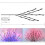 Nordic Style Simulated Tree Branches Decoration with 20 4
