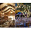 MAMOWEAR fairy lights 33 ft 100 LED 8 modes 3
