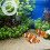 USB aquarium air pump portable oxygen aerator 2