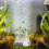 Air Bubble Stone Aerator for Aquarium and Hydroponics 4 cm 2