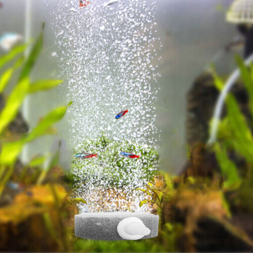 Air Bubble Stone Aerator for Aquarium and Hydroponics 4 cm 1