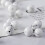 White Turquoise Beads Round Loose Charms 40pcs 5