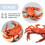 Realistic Crab Toy Red Plastic Ocean Animal Bath Play 3