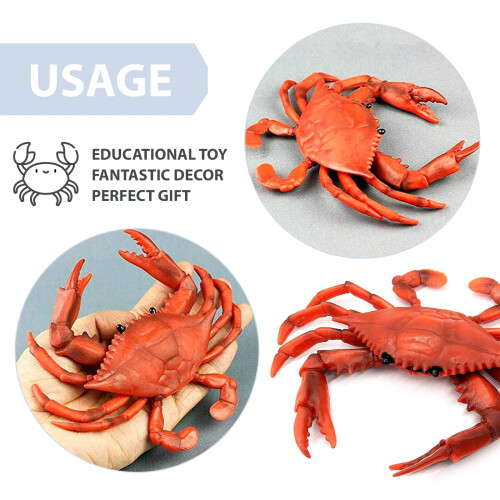 Realistic Crab Toy Red Plastic Ocean Animal Bath Play 2