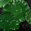 Artificial Floating Foam Lotus Leaves 24 pcs 4 sizes 5