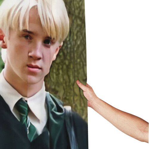 Draco Malfoy shower curtain set 66x72 in polyester 1
