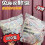 Food Grade Plastic Wrap Set for Refrigerator Fresh-Keeping, 1