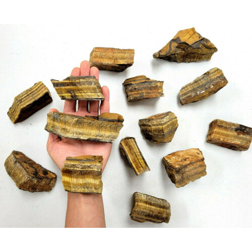 Golden Tiger's Eye Raw Crystal Specimens XL