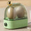 Egg Cooker 220V for Home or Dormitory Green 2-Egg Capacity 6