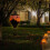 Jacenvly solar outdoor lantern iron glass wall light 5