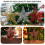 Red sequin star tree topper decoration 6